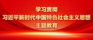 经典草逼网学习贯彻习近平新时代中国特色社会主义思想主题教育_fororder_ad-371X160(2)